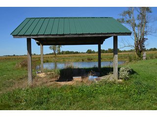 Property photo 8 - 80 +/- Acres Offered in 6 Tracts - Spectacular Farm & Home